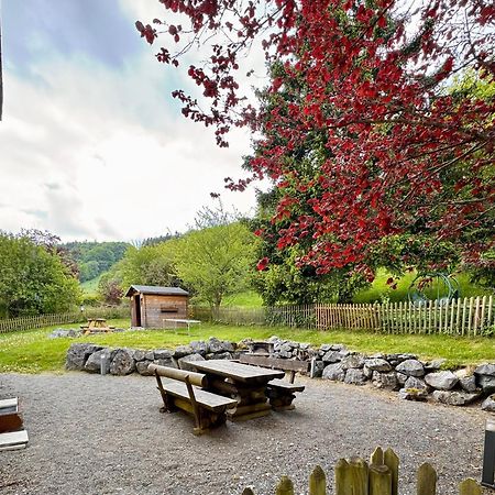Ferienwohnung Sonnentraum - Appartement 5 Willingen Willingen  Dış mekan fotoğraf