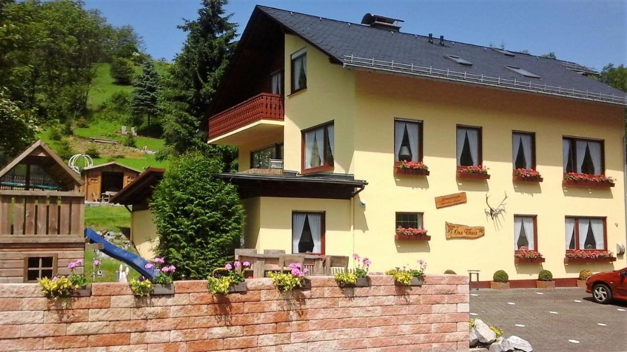 Ferienwohnung Sonnentraum - Appartement 5 Willingen Willingen  Dış mekan fotoğraf