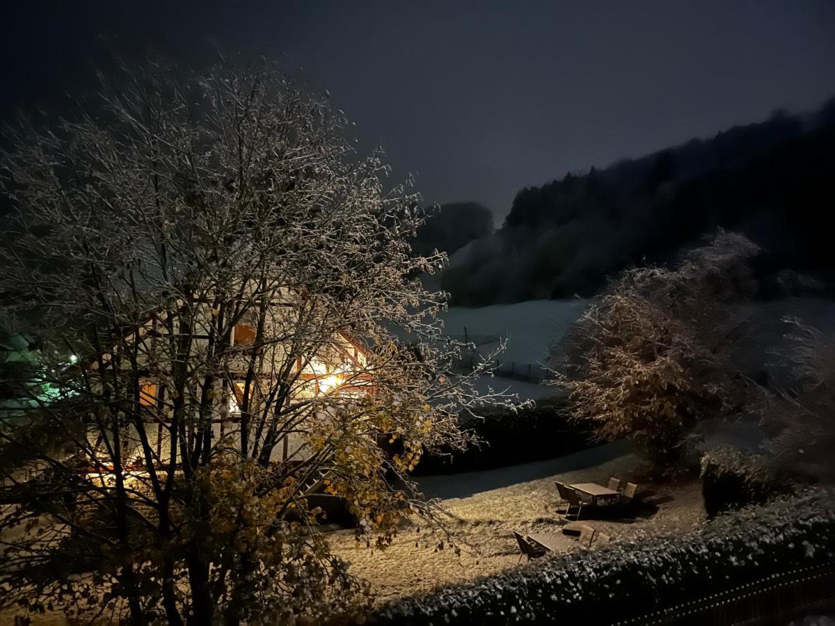 Ferienwohnung Sonnentraum - Appartement 5 Willingen Willingen  Dış mekan fotoğraf