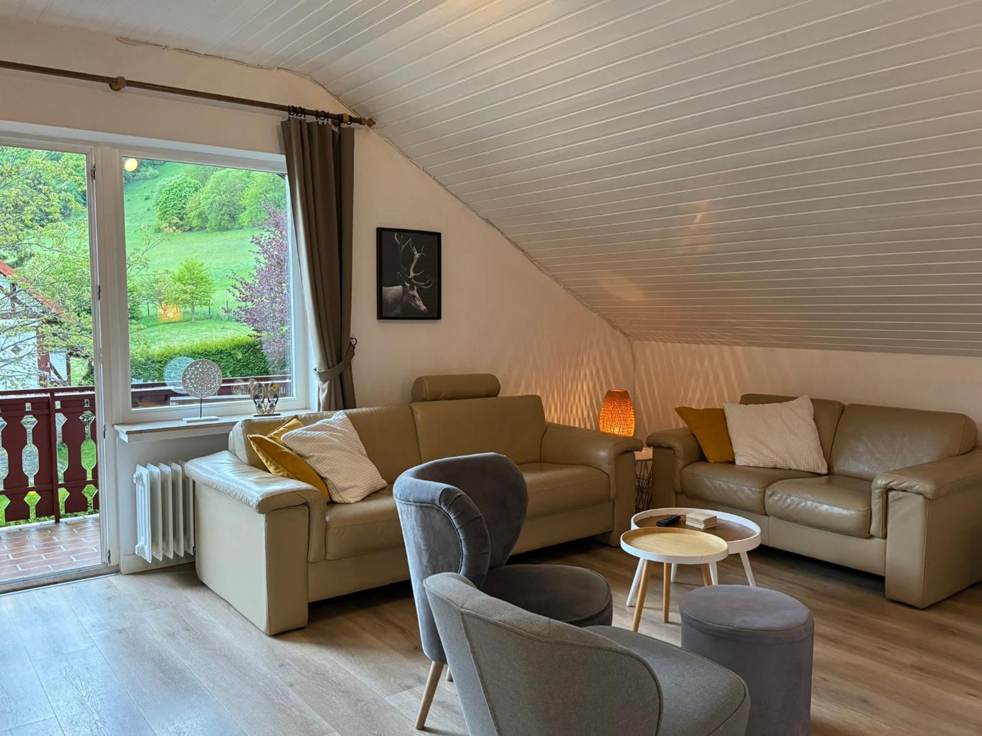 Ferienwohnung Sonnentraum - Appartement 5 Willingen Willingen  Dış mekan fotoğraf